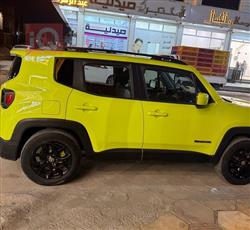 جيب رينيجيد